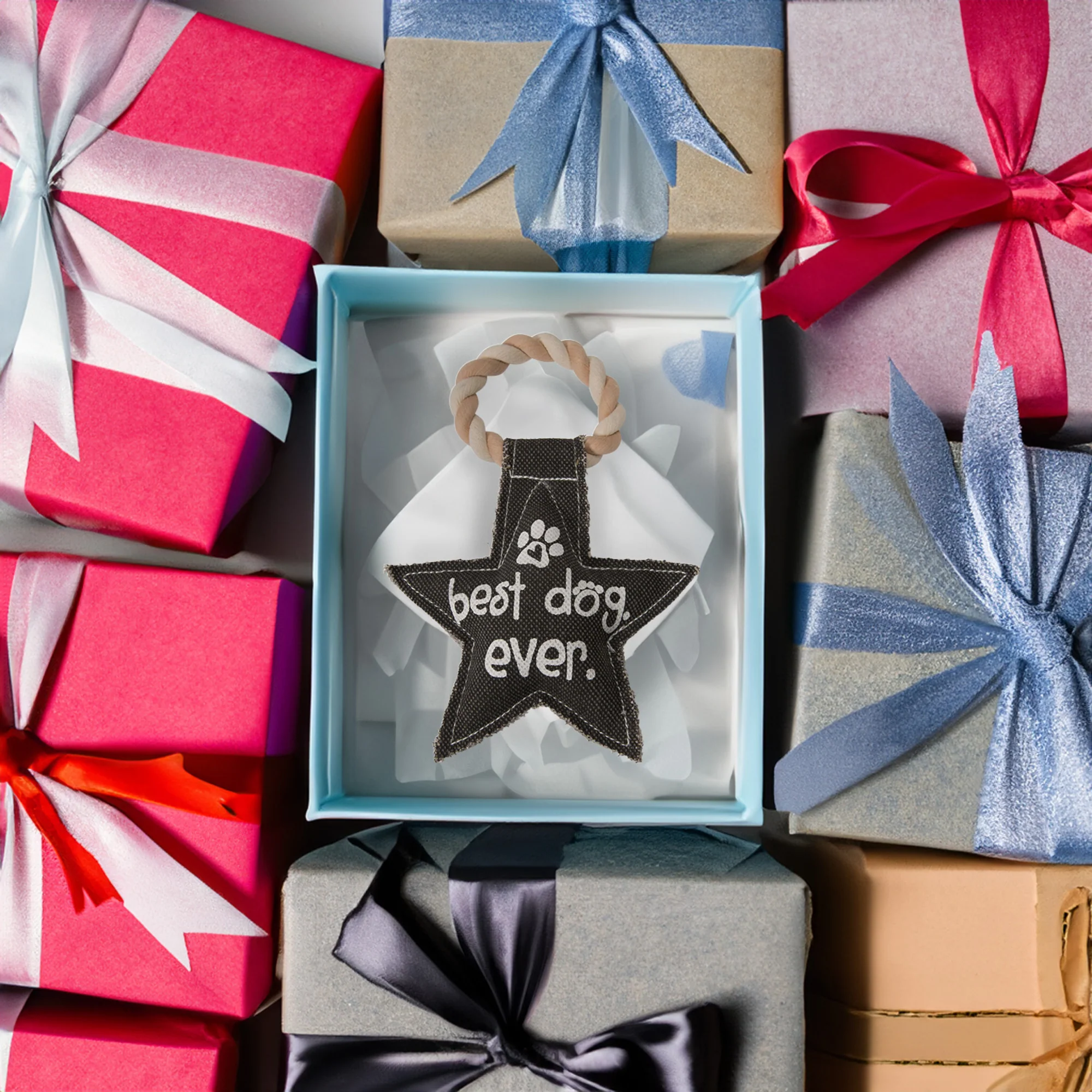 Best Dog Ever 9.5" Canvas Dog Toy on Rope - Image 3