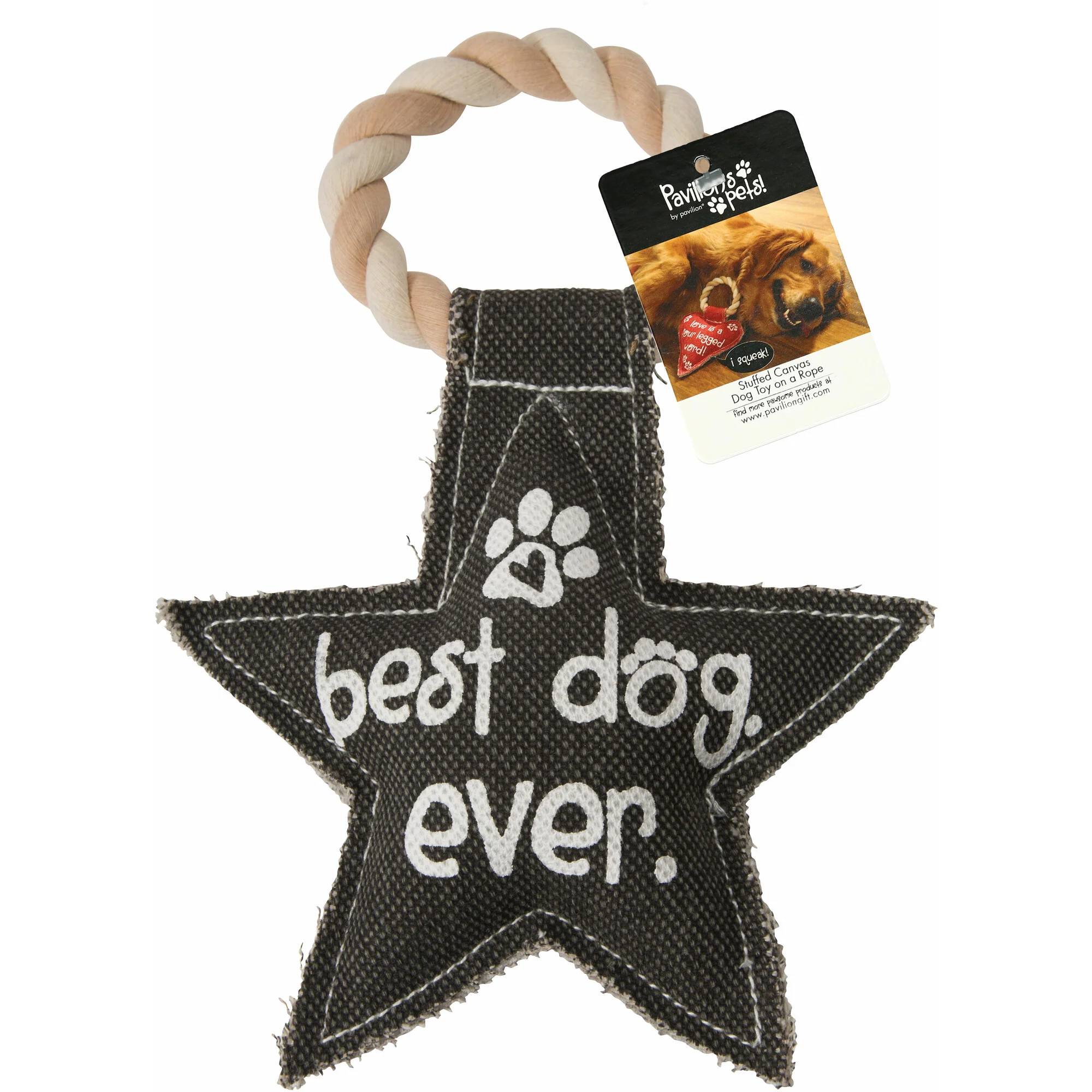Best Dog Ever 9.5" Canvas Dog Toy on Rope - Image 5
