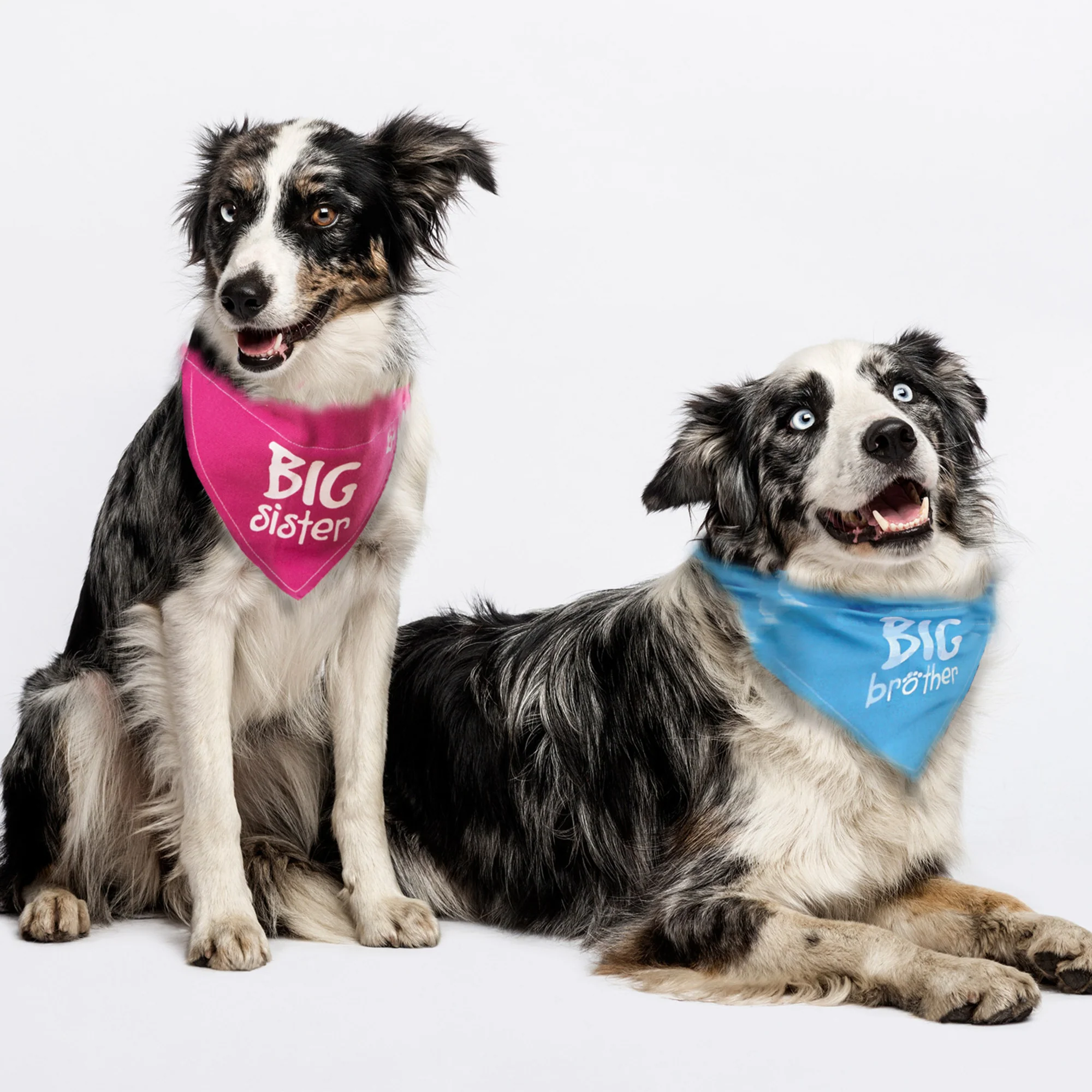 Big Sister 12" x 8" Canvas Slip on Pet Bandana - Image 4