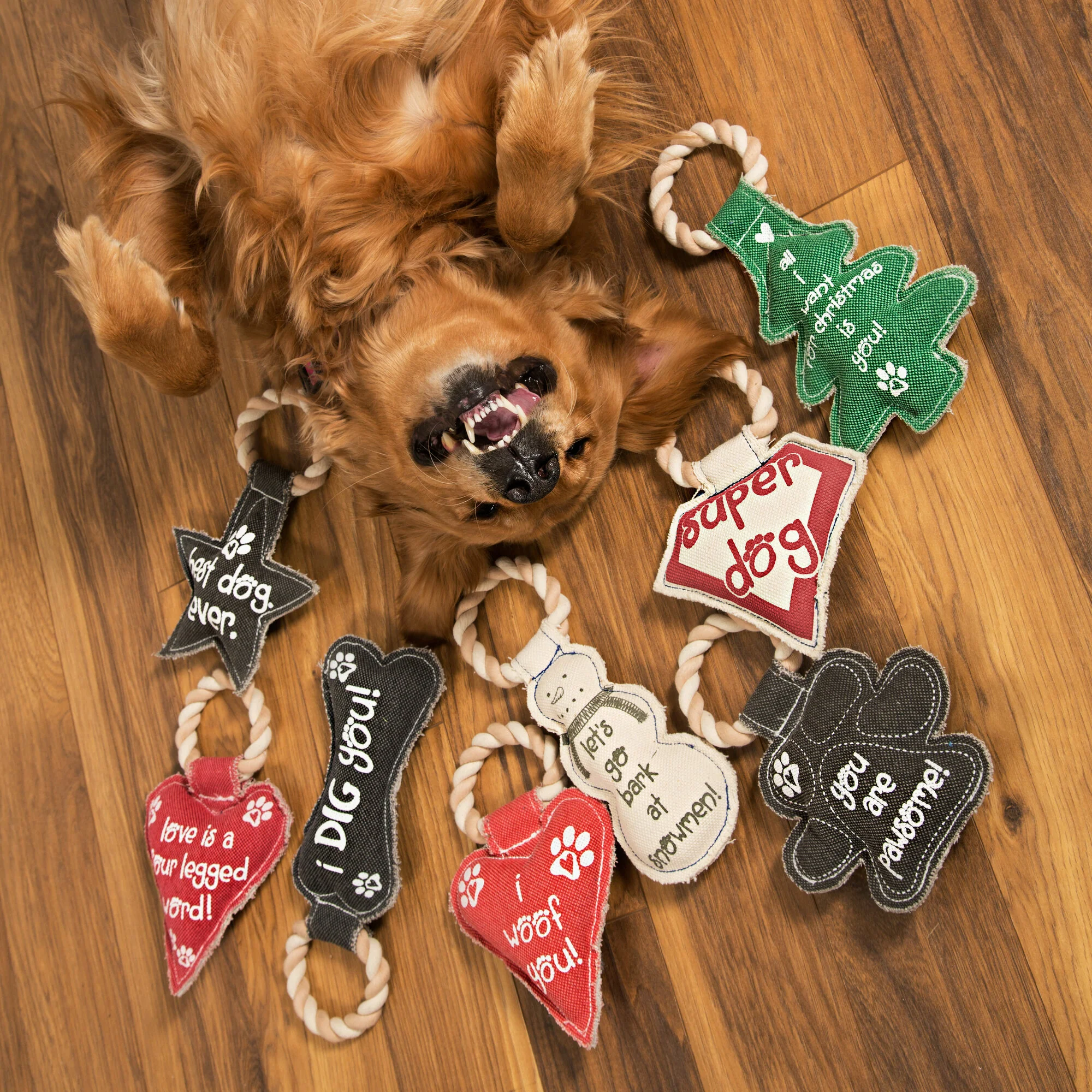 Dog Bone 12" Canvas Dog Toy on Rope - Image 3