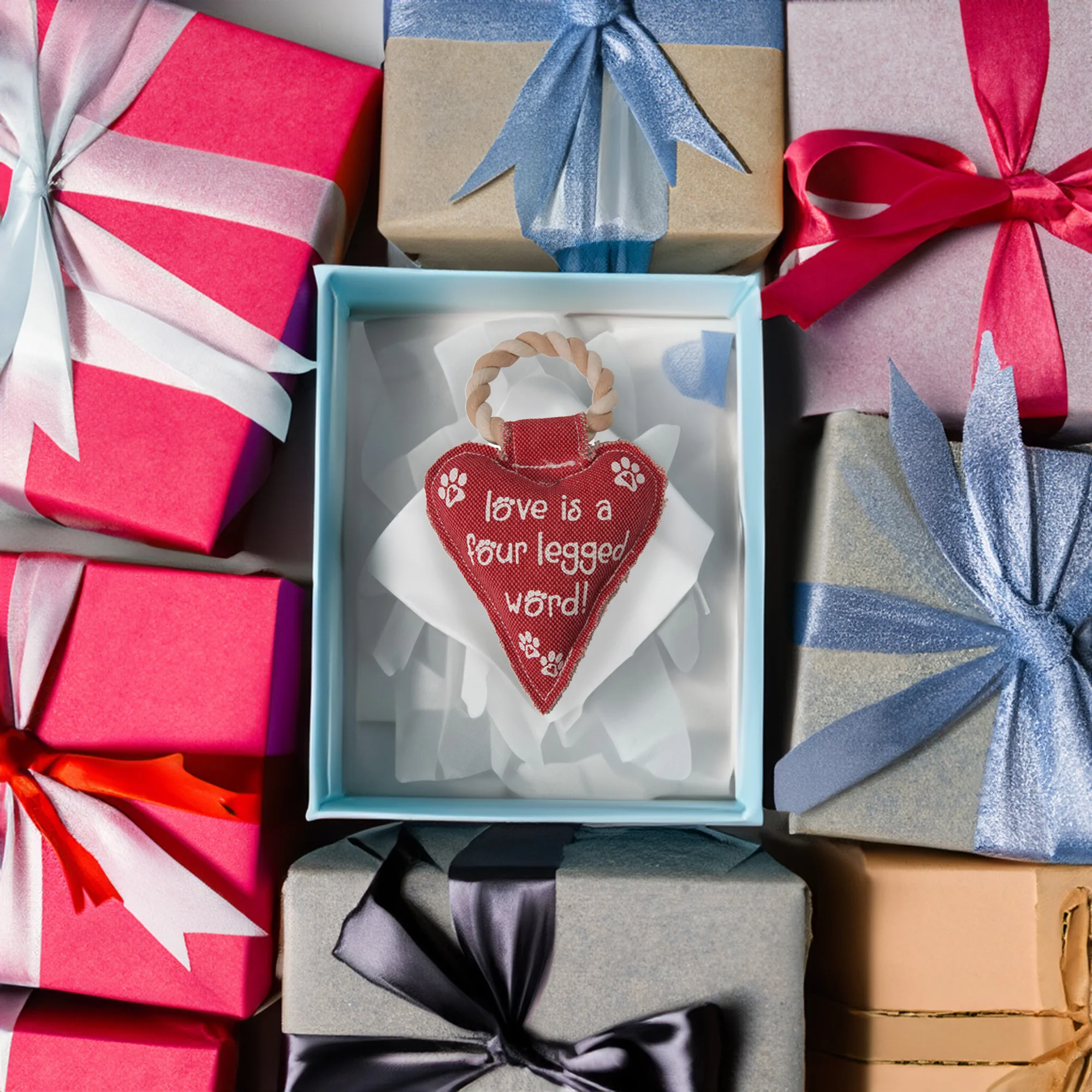 Heart Love 10" Canvas Dog Toy on Rope - Image 3